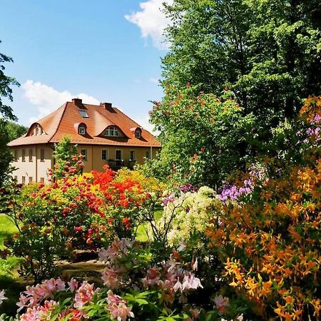 Rezydencja Grawert Boutique & Spa Lądek-Zdrój 외부 사진